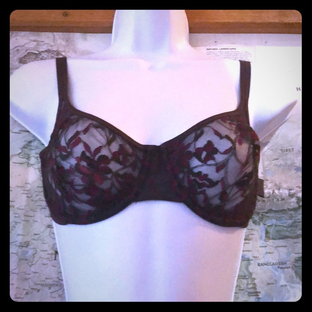 Dkny lace bra